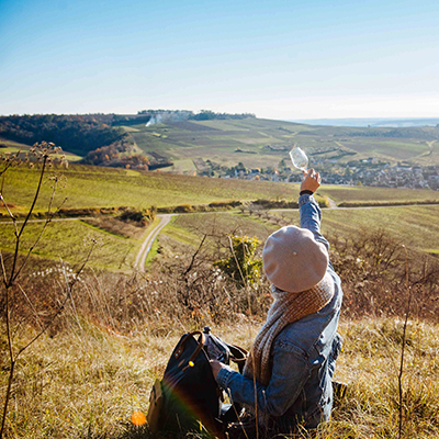 Visite domaine viticole Auxerre, Visite domaine viticole Joigny, Visite domaine viticole Tonnerre, Visite domaine viticole Chablis, Visite domaine viticole Yonne (89), Visite domaine viticole Vézelay