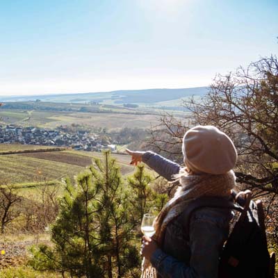 Visite domaine viticole Auxerre, Visite domaine viticole Joigny, Visite domaine viticole Tonnerre, Visite domaine viticole Chablis, Visite domaine viticole Yonne (89), Visite domaine viticole Vézelay