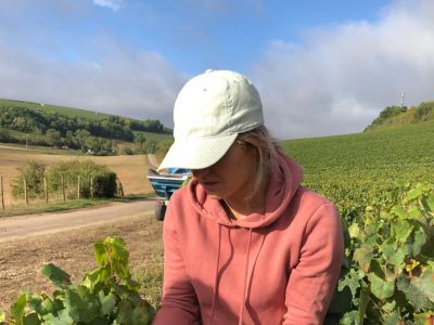 Atelier Vendangeurs d’un Jour 